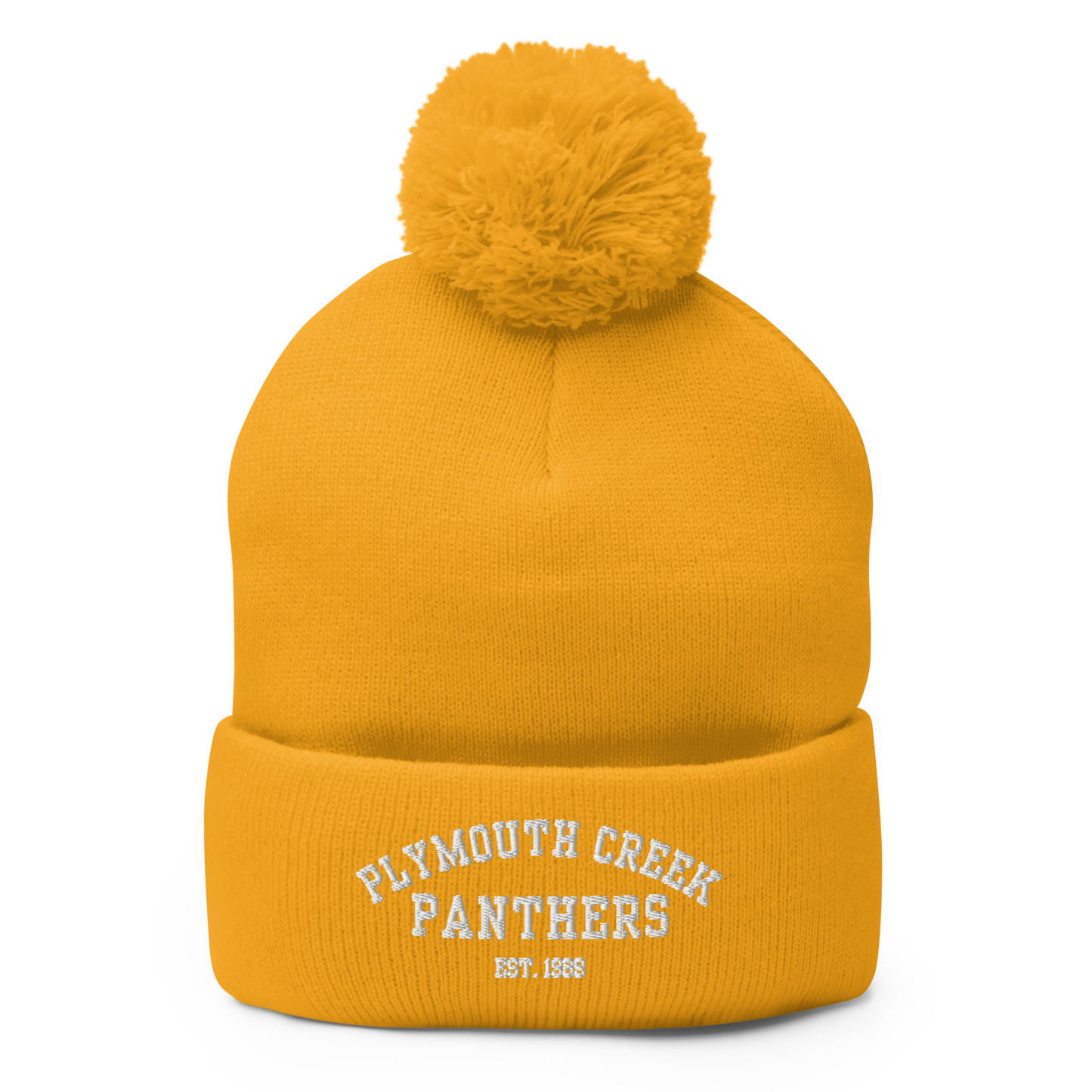 Colorful PCE Pom-Pom Beanie