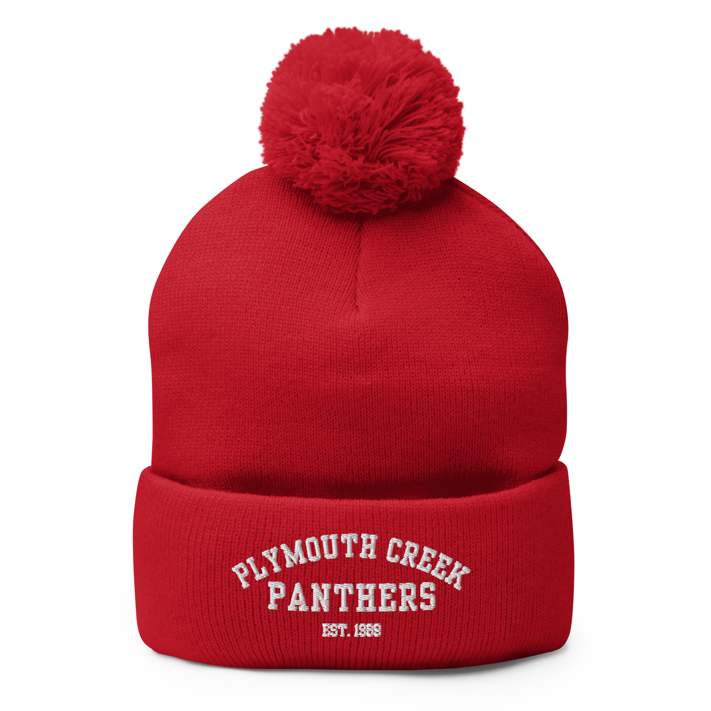 Colorful PCE Pom-Pom Beanie