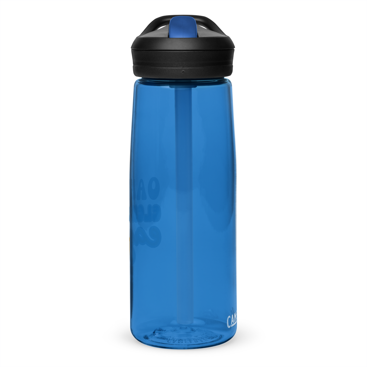 Oakwood Eagles Sports water bottle